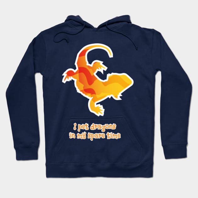 I Pet Dragons In My Spare Time Hoodie by bluerockproducts